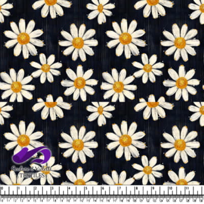 Pâquerettes blanches à cœurs jaunes sur fond texturé sombre