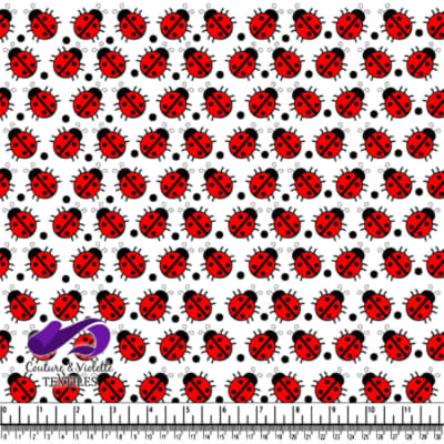 Coccinelles rouges sur fond blanc