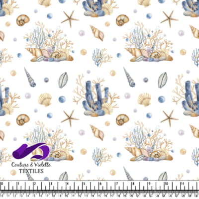 Coquillages, étoiles de mer et galets sur fond blanc