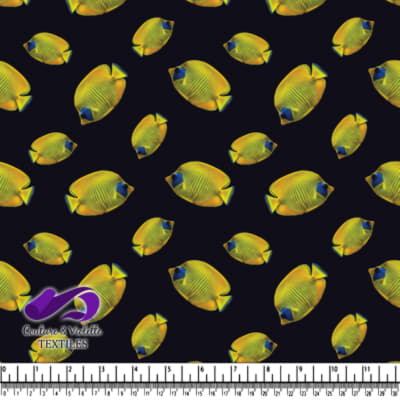 Yellow Tropical Fish on Black Background