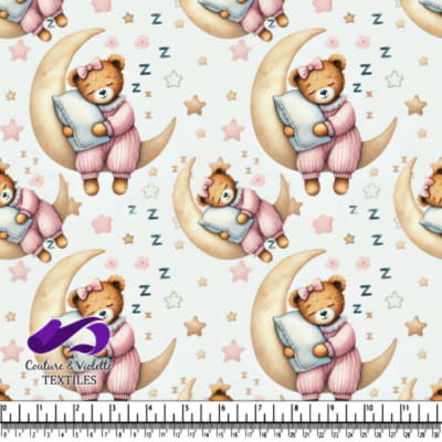 Teddy Bear Endormi sur la Lune