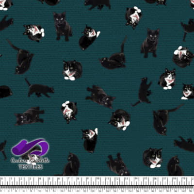 Black cat - Cats on deep teal texture