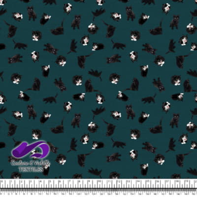 Black cat - Cats on deep teal texture