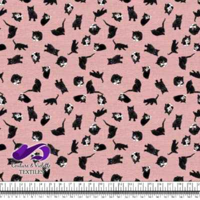 Chat noir - Chats sur une première texture rose pâle