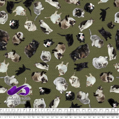 Cat - Cattery on olive texture