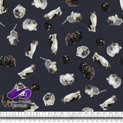 Chat - Mademoiselle sur Texture bleu de minuit