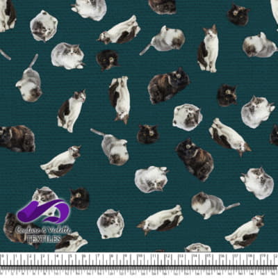 Chat - Mademoiselle sur texture teal profonde