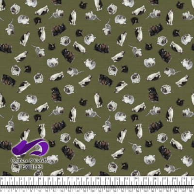 Chat - Mademoiselle sur Texture Olive