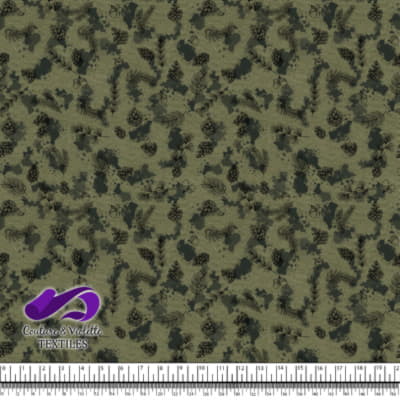 Conifères et tâches de Sapin sur Fond Olive