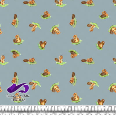 Petits animaux - Castors