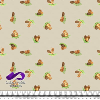 Petits animaux - Castors - Cream cloud