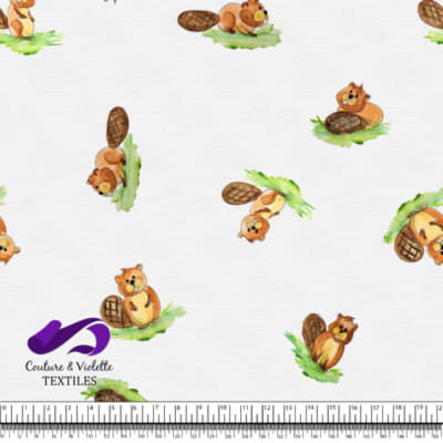 Petits animaux - Castors - Blanc