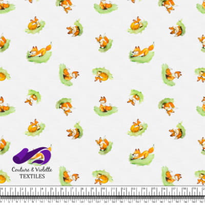 Petits animaux - Renard - Blanc