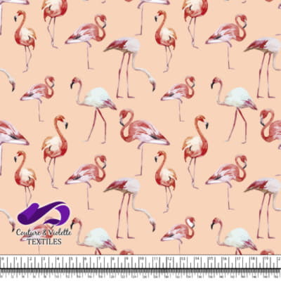 Tropical - Flamants roses - Pêche
