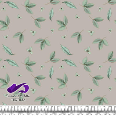 Petites Pousses -  Silver cloud