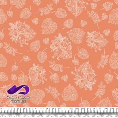 Monstera - Trait blanc - Coral