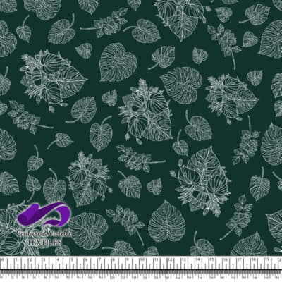 Monstera - Trait blanc - Growth