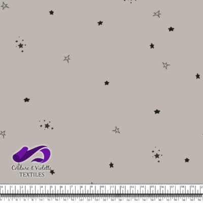 Prince et princesse - Étoiles - Silver cloud